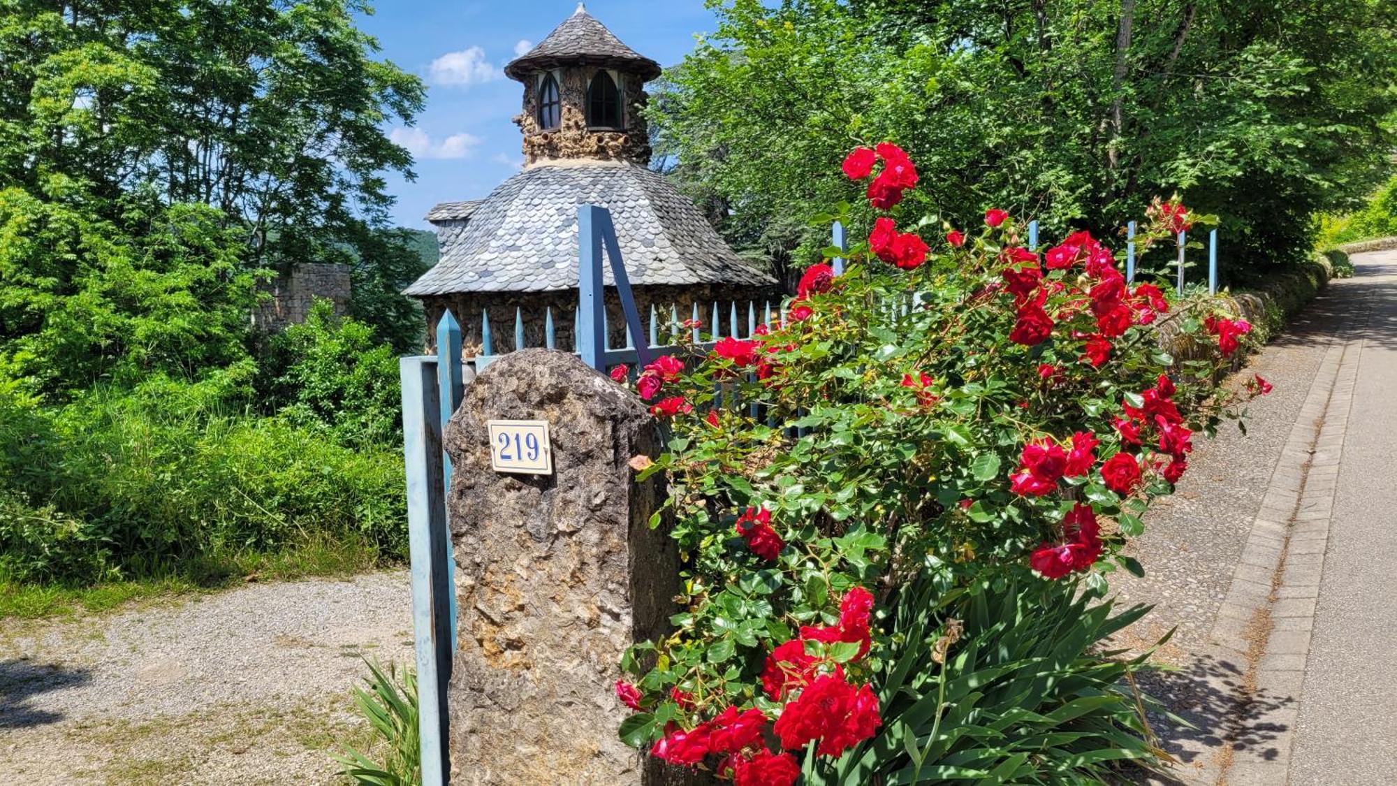 Bed and Breakfast Manoir des Pélies Conques Esterno foto